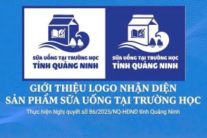Hội đồng nhân dân tỉnh Quảng Ninh về việc quy định chính sách hỗ trợ sữa uống tại trường cho trẻ em mầm non